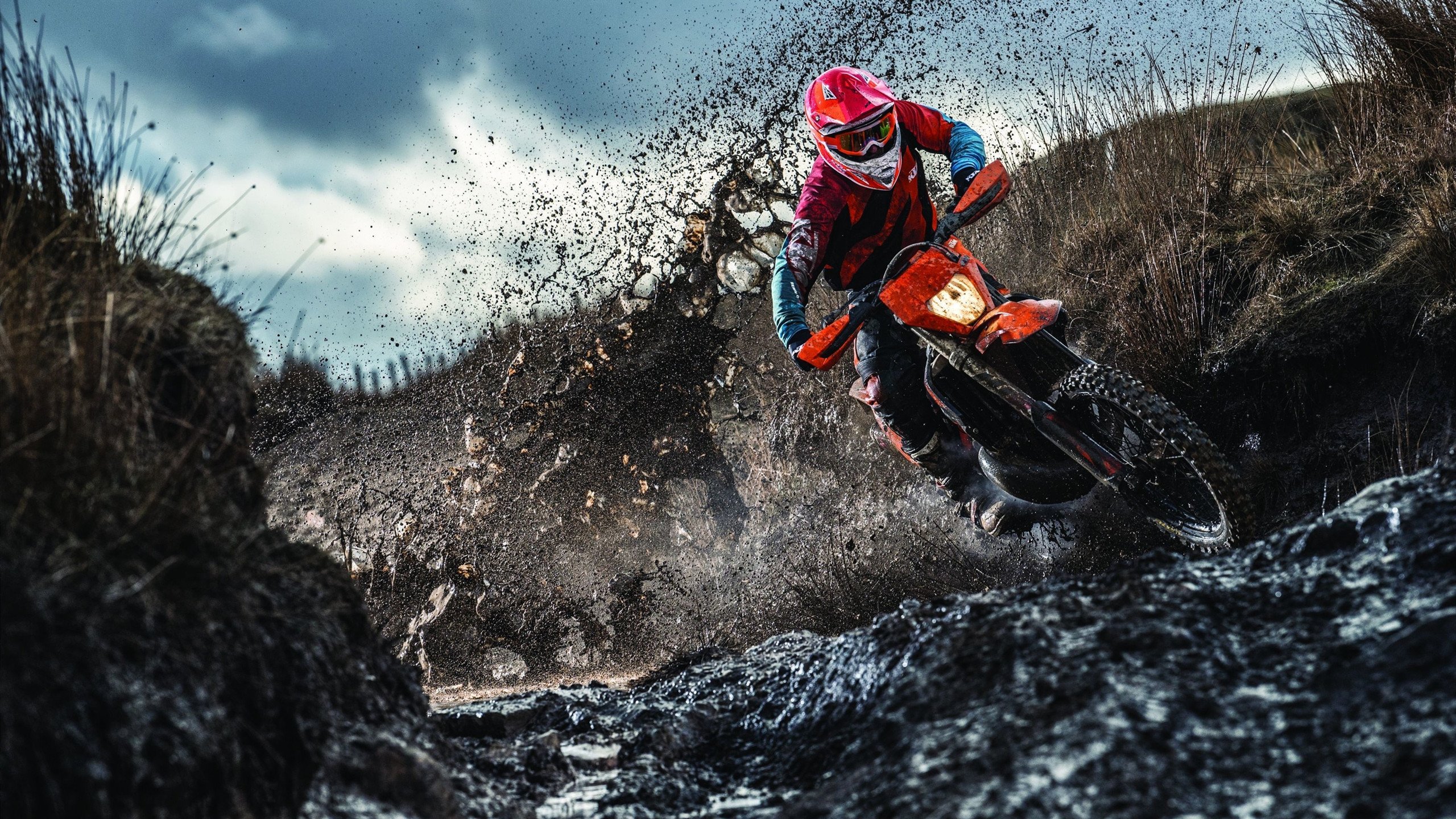 法甲新星崭露：未来领袖光芒四射！，法甲新logo