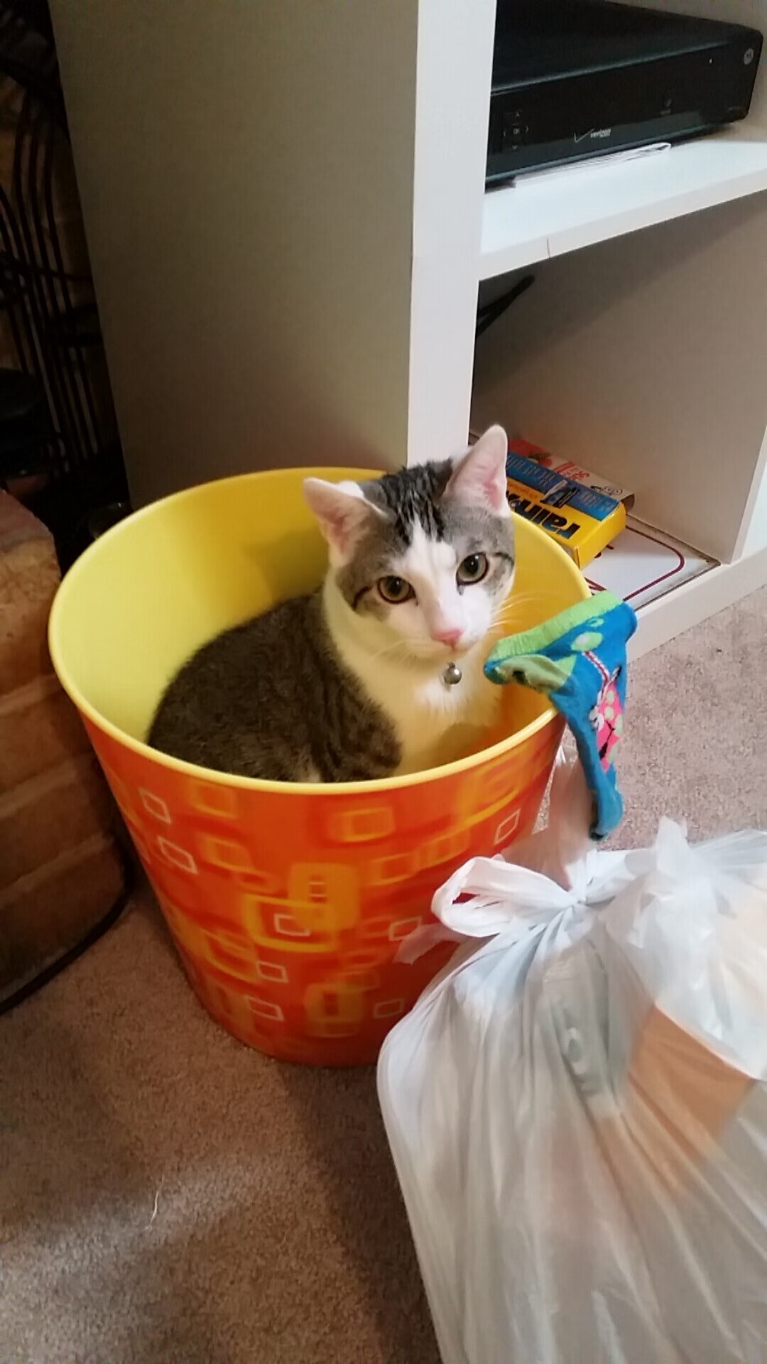 中国九游体育-“中超球队启动新冠后复苏计划”，中超复赛